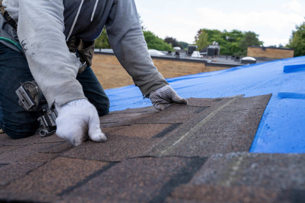 Best Roof Waterproofing Services  in Bayou Gauche, LA